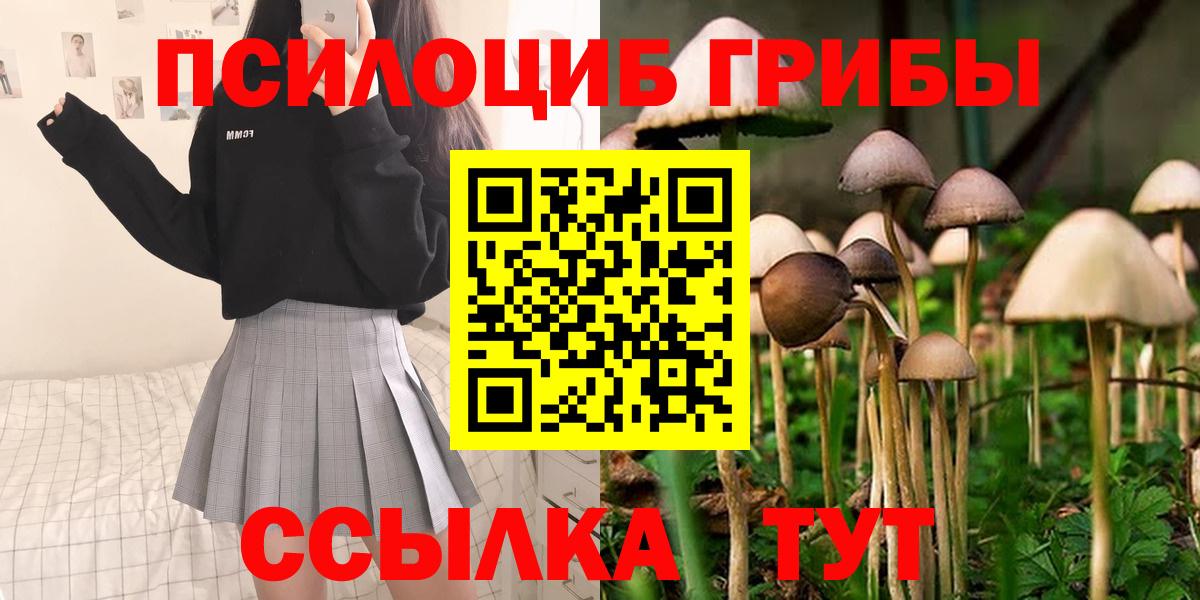 Галлюциногенные грибы MAGIC MUSHROOMS  Псилоцибиновые грибы GOLDEN TEACHER  Вичуга  Вход с VPN 